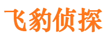 灵宝市婚姻出轨调查